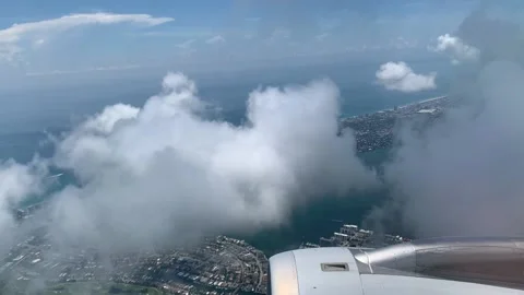 Dog at a backyard Stock Footage 136340011