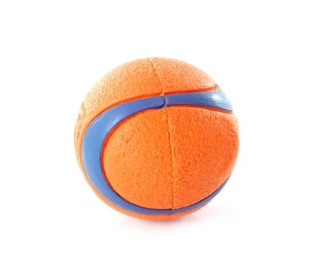 Dog ball 写真素材
