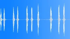 Dog bark cutsie many 01 Sound Effect