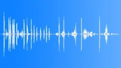 Dog barking and growlingSound Effect
