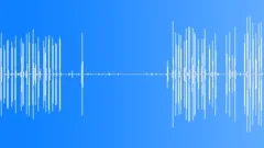 Dog barking and growlingSound Effect