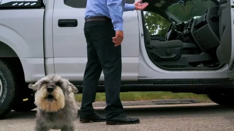 Dog Barking at Camera Stock Footage 201964822