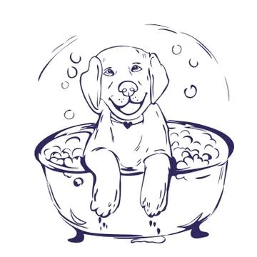 Dog bath grathic illustration Stock Illustration