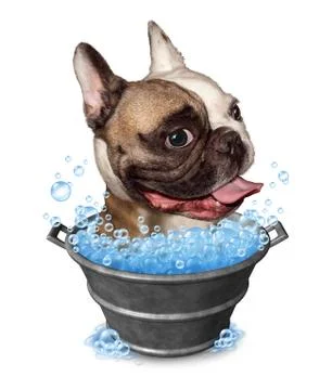 Dog bath Иллюстрация