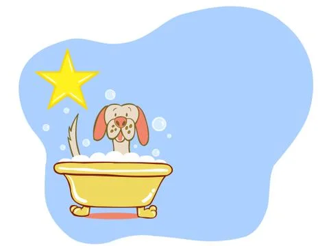 Dog bath star - labrador Stock Illustration