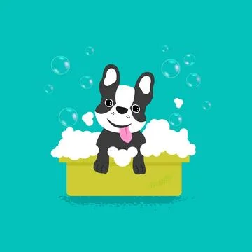 Dog bathing in grooming salon. Vector illustration. Stock Illustration