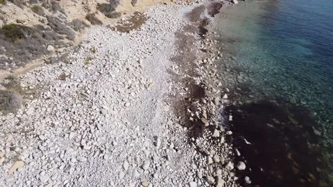 Dog beach (Campello) Stock Footage 150129887