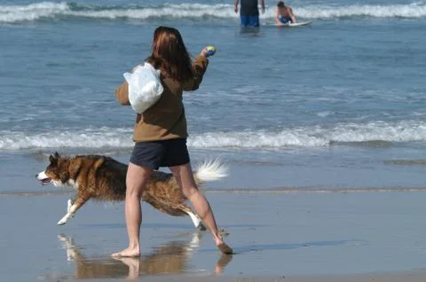 Dog Beach Stock Photos