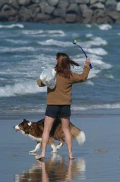 Dog Beach Stock Photos