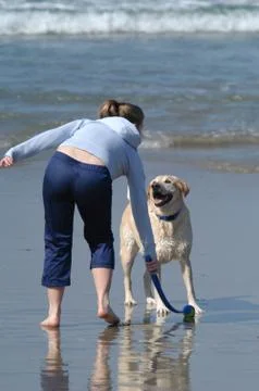 Dog Beach Stock Photos