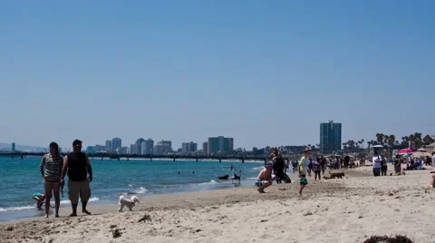 Dog Beach Timelapse Stock Footage 65052720