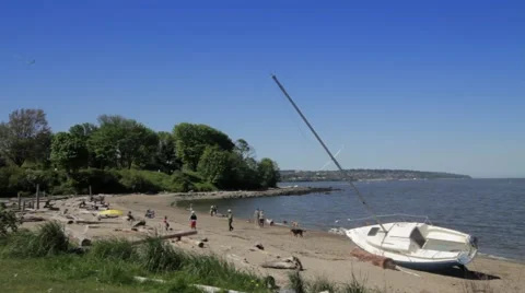 Dog beach in Vancouver Stock Footage 59127089