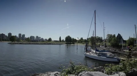 Dog beach Yacht Stock Footage 59123536