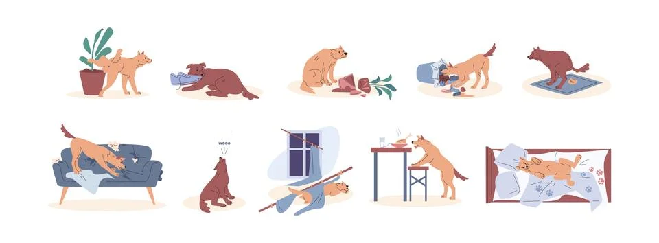 Dog behavior. Problems with pets, dogs destroying and digging, making poop and Illustrazione stock