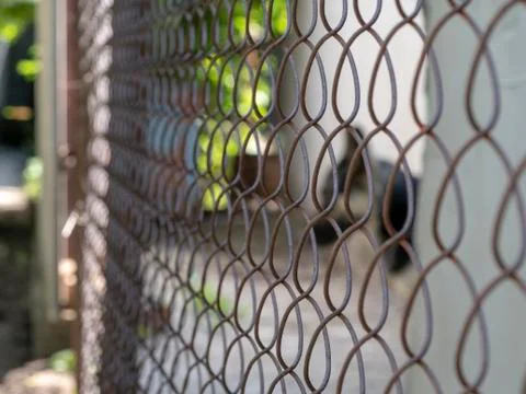 Dog behind the net Stock Photos