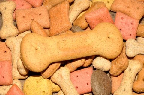 Dog Biscuits Stock Photos