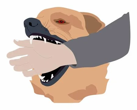 Dog bites human hand, bite from an animal with rabies Stock Illustration