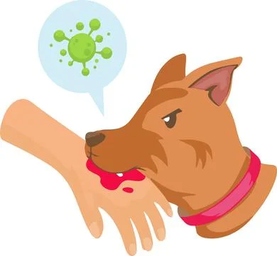 A dog biting a person's hand with a red collar, rabies virus Stock Illustration
