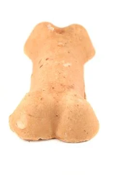 Dog bone Stock Photos