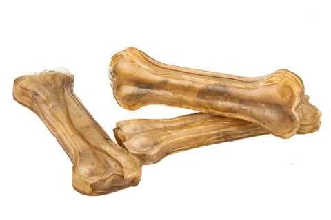 Dog bones Stock Photos