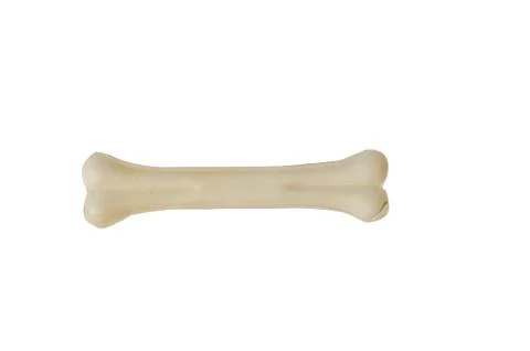 Dog bones Stock Photos