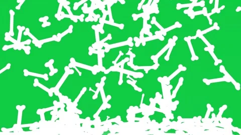 Dog Bones Transition Greenscreen 4k Video Stock Footage 241101787