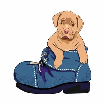 Dog in the boot Stock Illustration