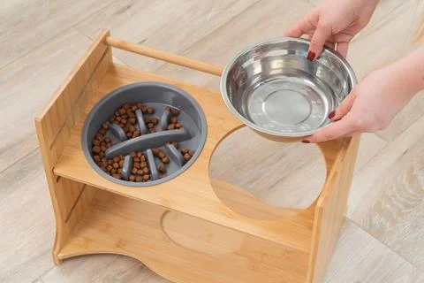 Dog bowl in the kitchen 스톡 사진