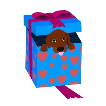 Dog in the box. Stock Illustration