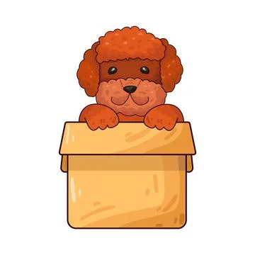 Dog in box illustration Stock Illustration