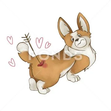 A dog of the breed corgi with an arrow of cupid in the rear. Love puppy Stock Illustration