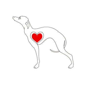 Dog breed Greyhound. Linear image. Tattoo dog with heart. Hand drawn vector Stock Illustration