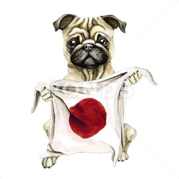 Dog breed pug holding a Japanese flag. Isolated on white background. Politics. Stock Illustration