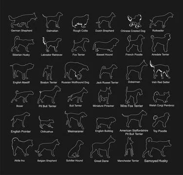 Dog breed set collection vector line contour silhouette Stock Illustration