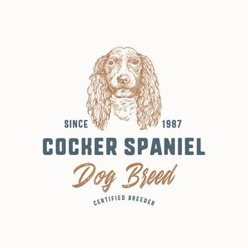Dog Breeder Badge or Logo Template. Hand Drawn Cocker Spaniel Breed Face Sketch Stock Illustration