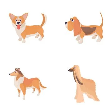 Dog breeds set including corgi basset hound collie afghan 스톡 일러스트