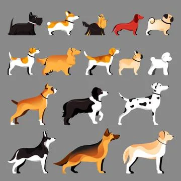 Dog breeds set. Vector flat illustration. Pets icons collection Stock Illustration