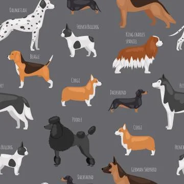 Dog breeds vector seamless pattern illustration. Big size dogs for home pets Stock Illustration