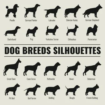 Dog breeds vector silhouettes set Stock Illustration