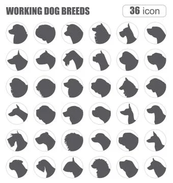Dog breeds. Working (watching) dog set icon. Flat style Stock Illustration
