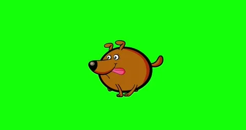 Dog brown walking cycle green screen isolated Stock Footage 282514976