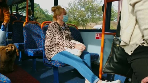 Dog on a bus Video stock 162860481