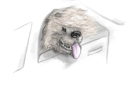 Dog in car Stock Illustration