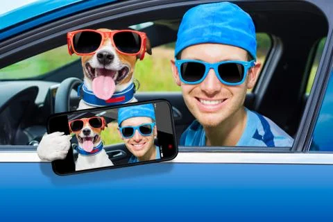 Dog car window Stockfoto's