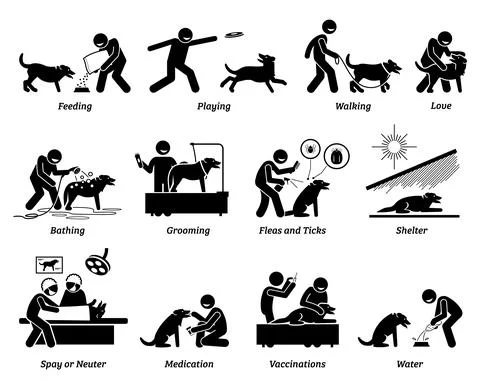 Dog care icons set. Vector illustrations of how to take care of a pet dog by  Stock Illustration