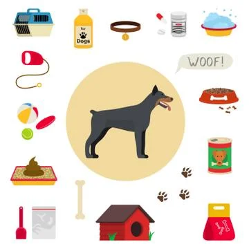 Dog care object set, items and stuff Stock Illustration