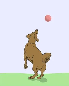 Dog catches ball, vector Illustrazione stock