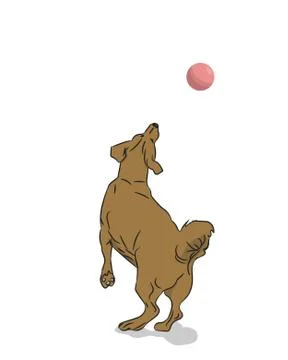 Dog catches ball, vector Stock Illustration