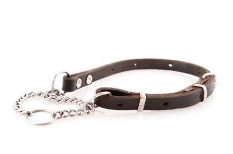 Dog chain Fotos Stock