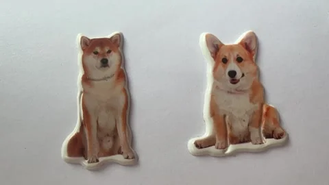 Dog Character Stickers on White Background Stock Footage 312836358